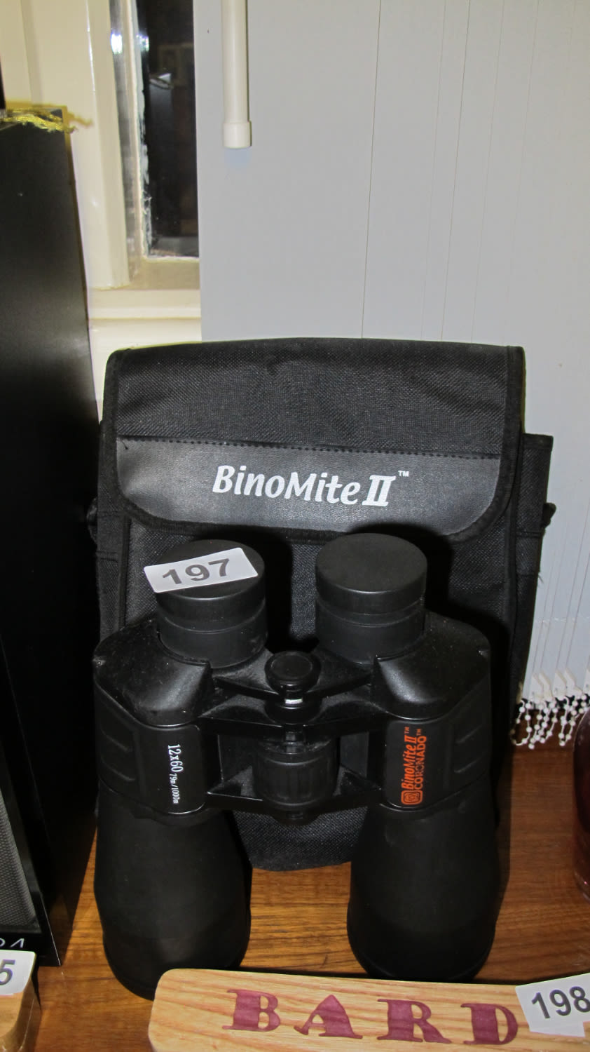 Lot 197: Binomite II 12x60 specialized star gazing binoculars