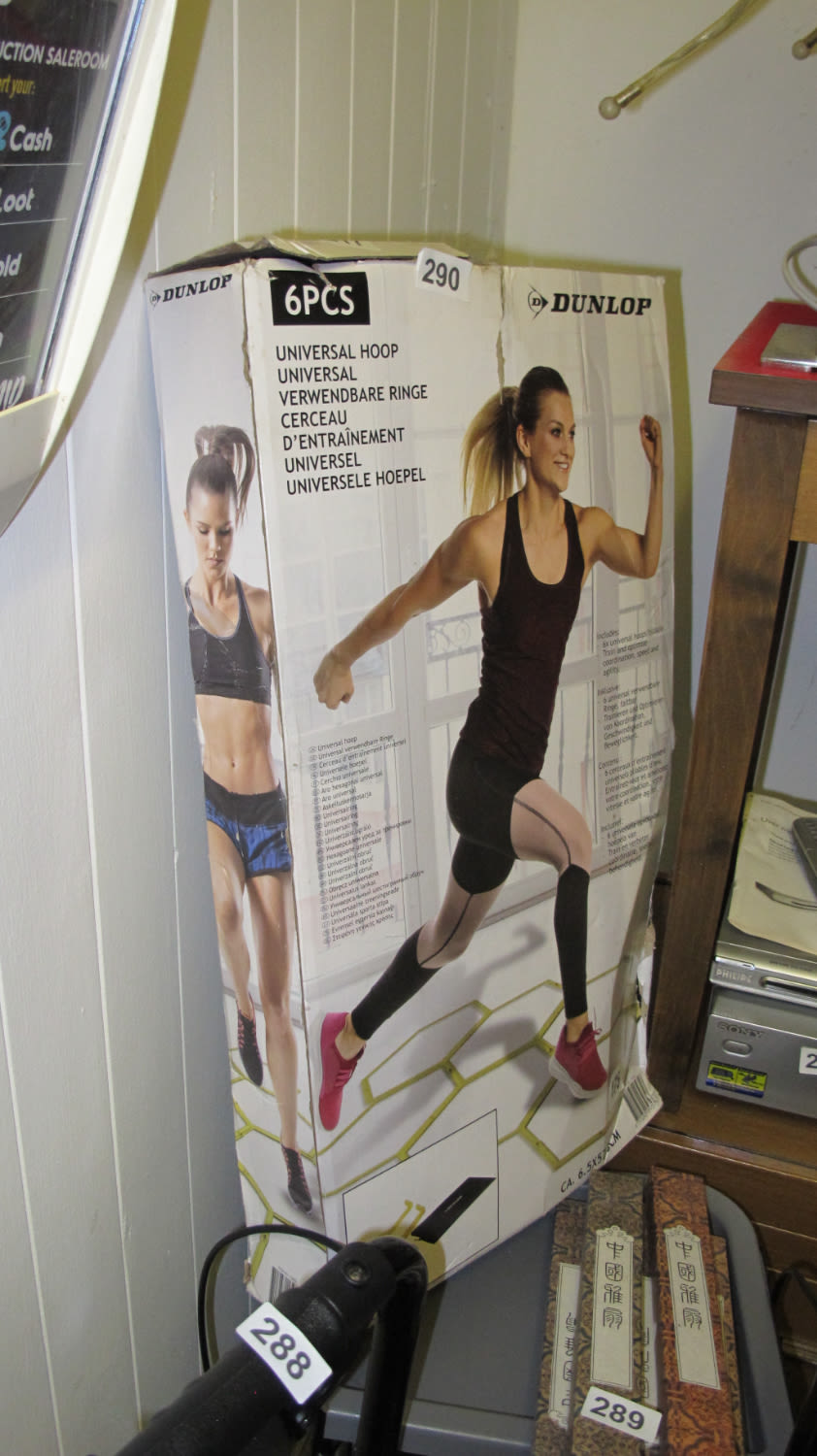 Lot 290: Exercise hoops