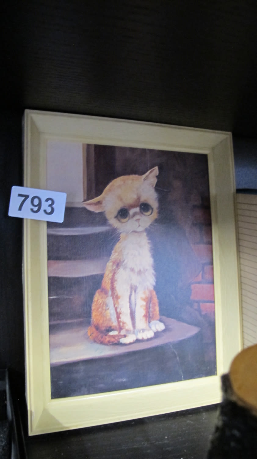 Lot 793: Sad cat picture