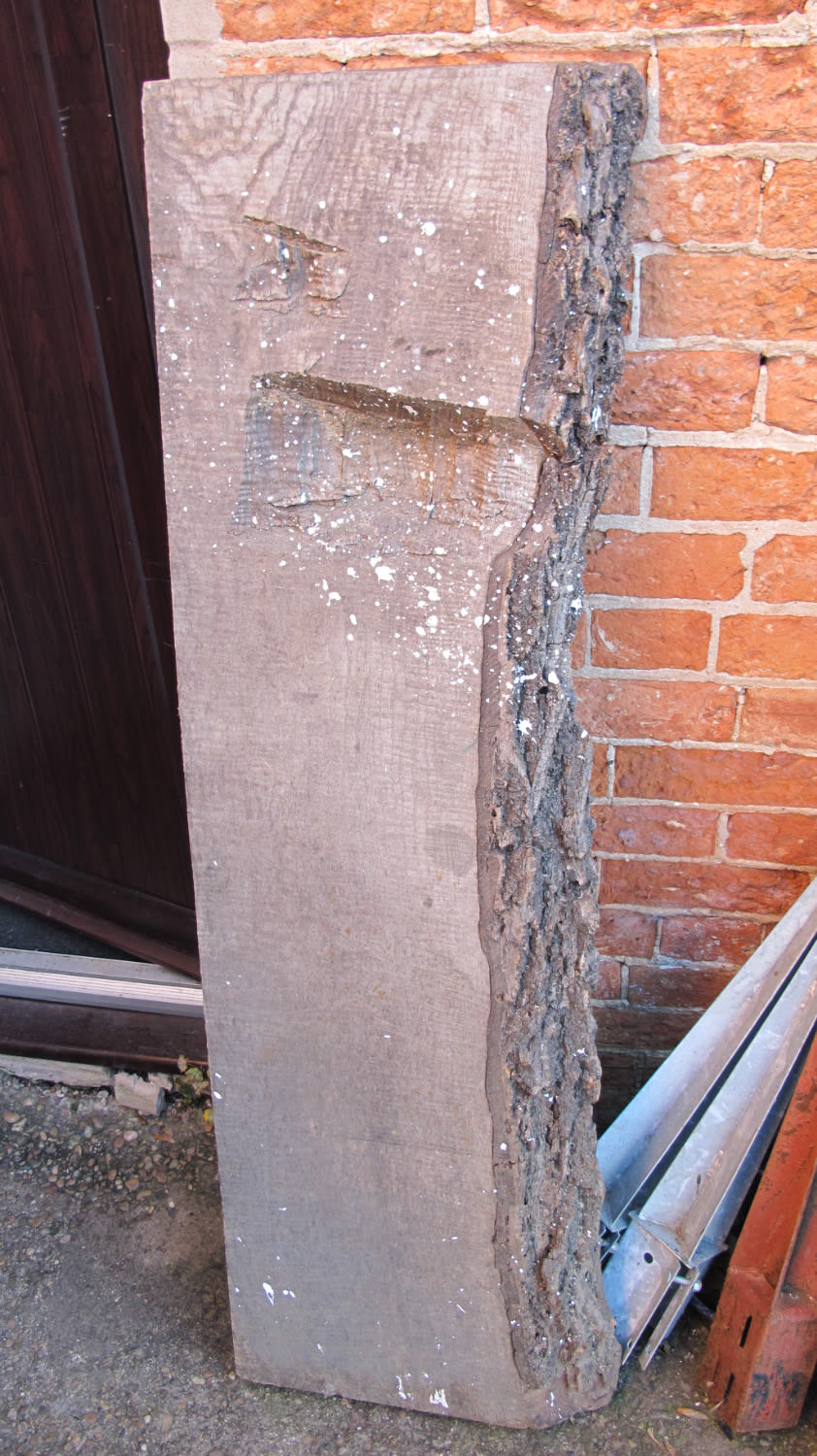 Lot 1168: Extra large piece of wood 