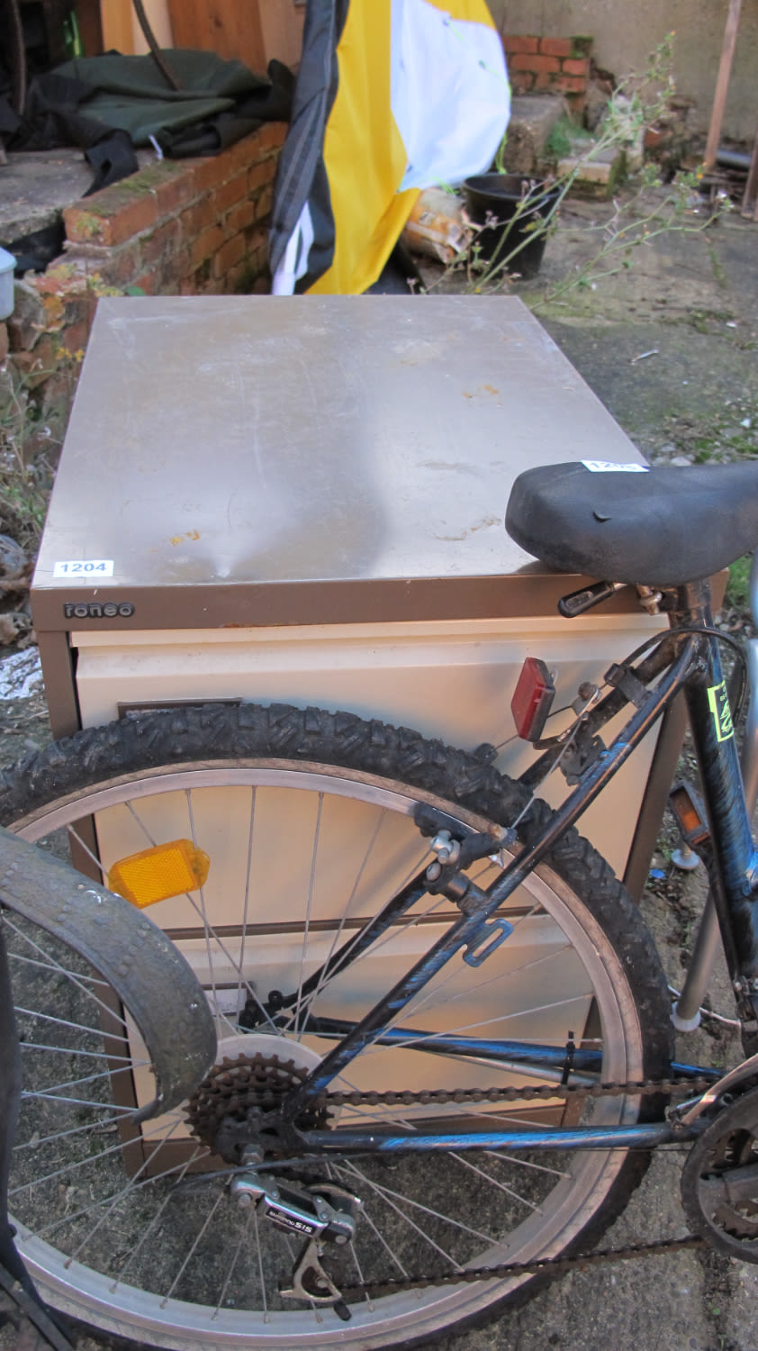Lot 1204: filing cabinet