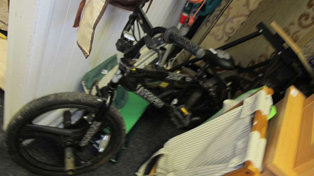 Lot 304: Freestyle BMX bike