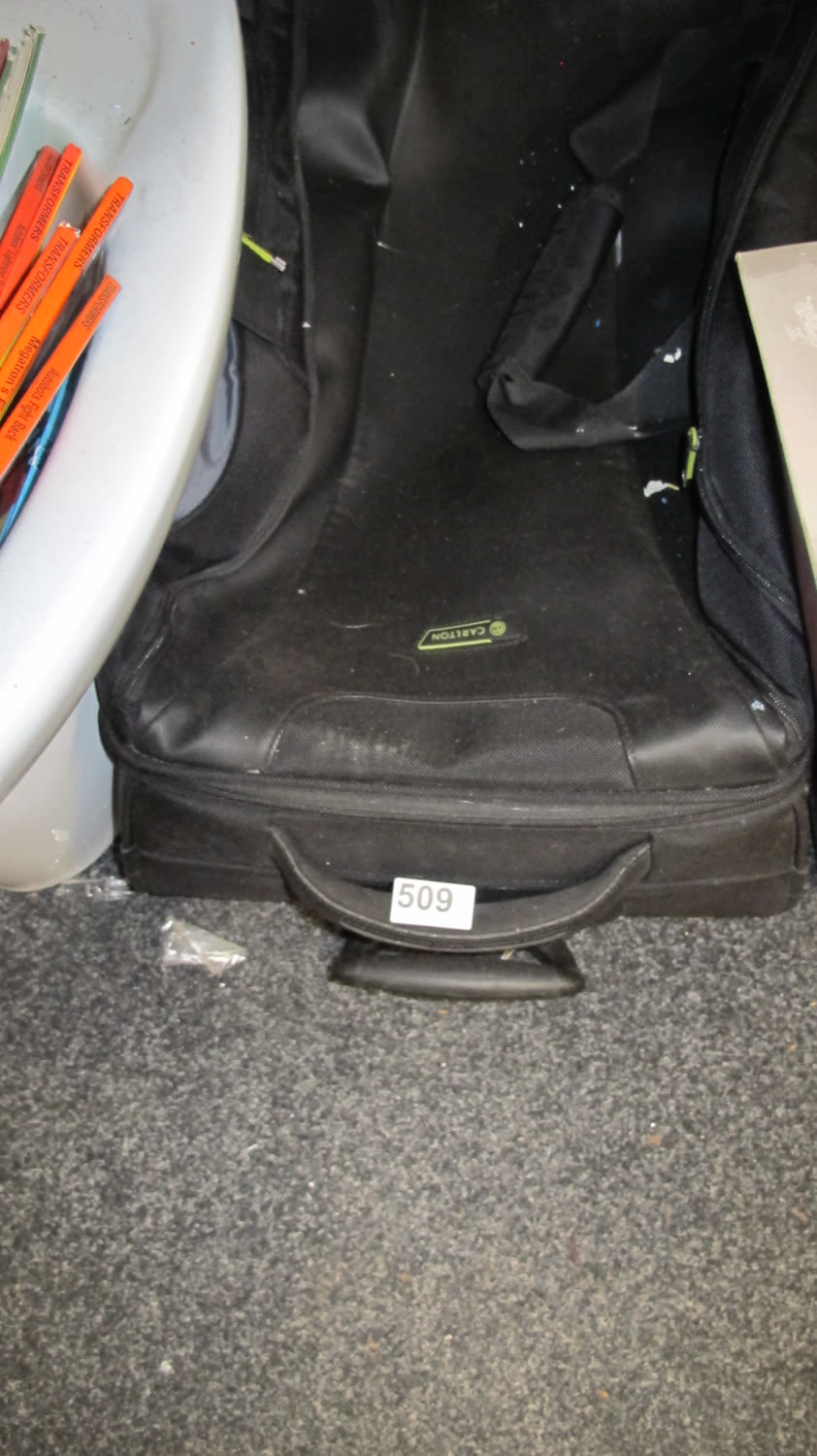 Lot 509: A suit bag