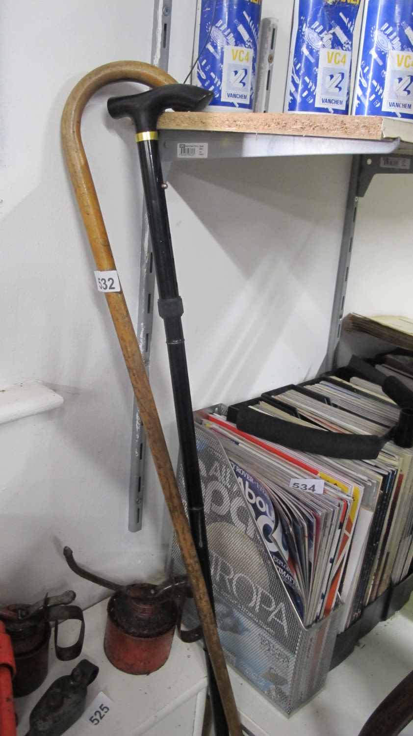 Lot 532: 2 sticks