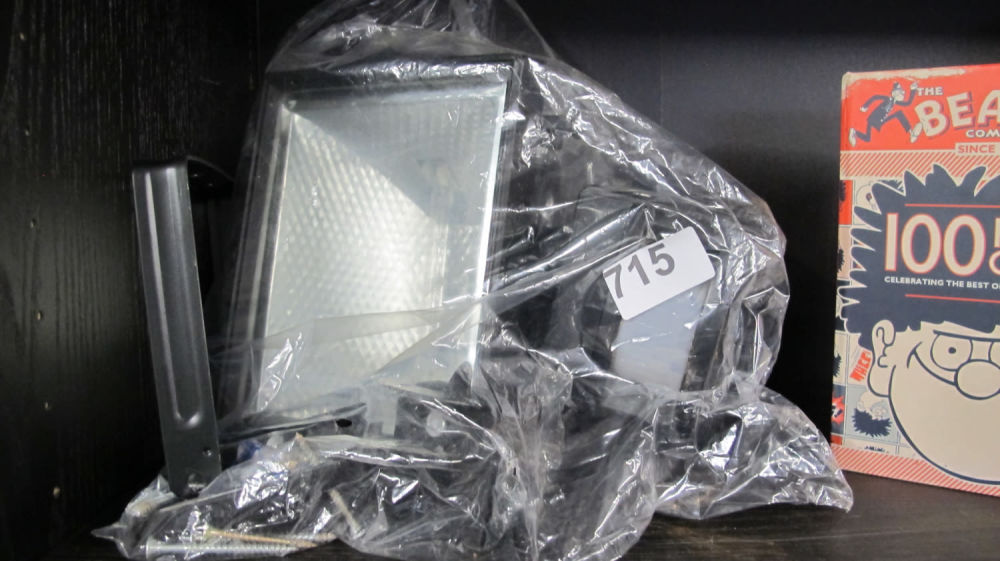 Lot 715: PIR security light