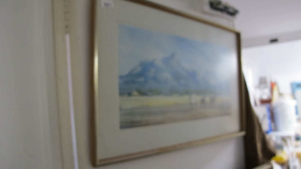 Lot 981: Framed picture, as seen by Mr Magoo