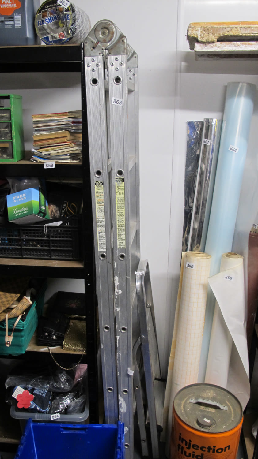 Lot 863: Ladders