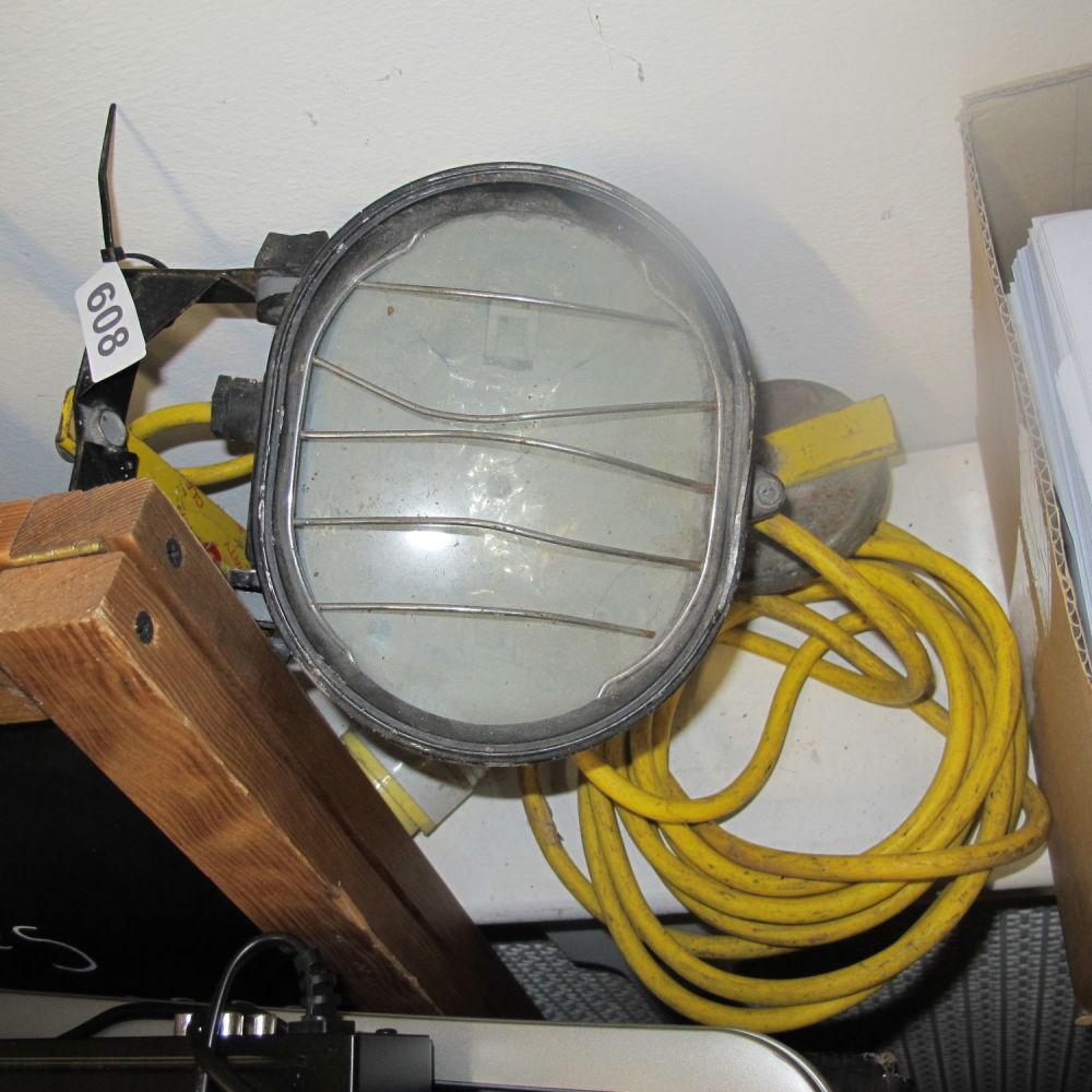 Lot 608: 110v site light