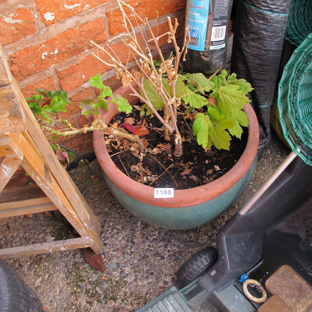 Lot 1188: Garden planter