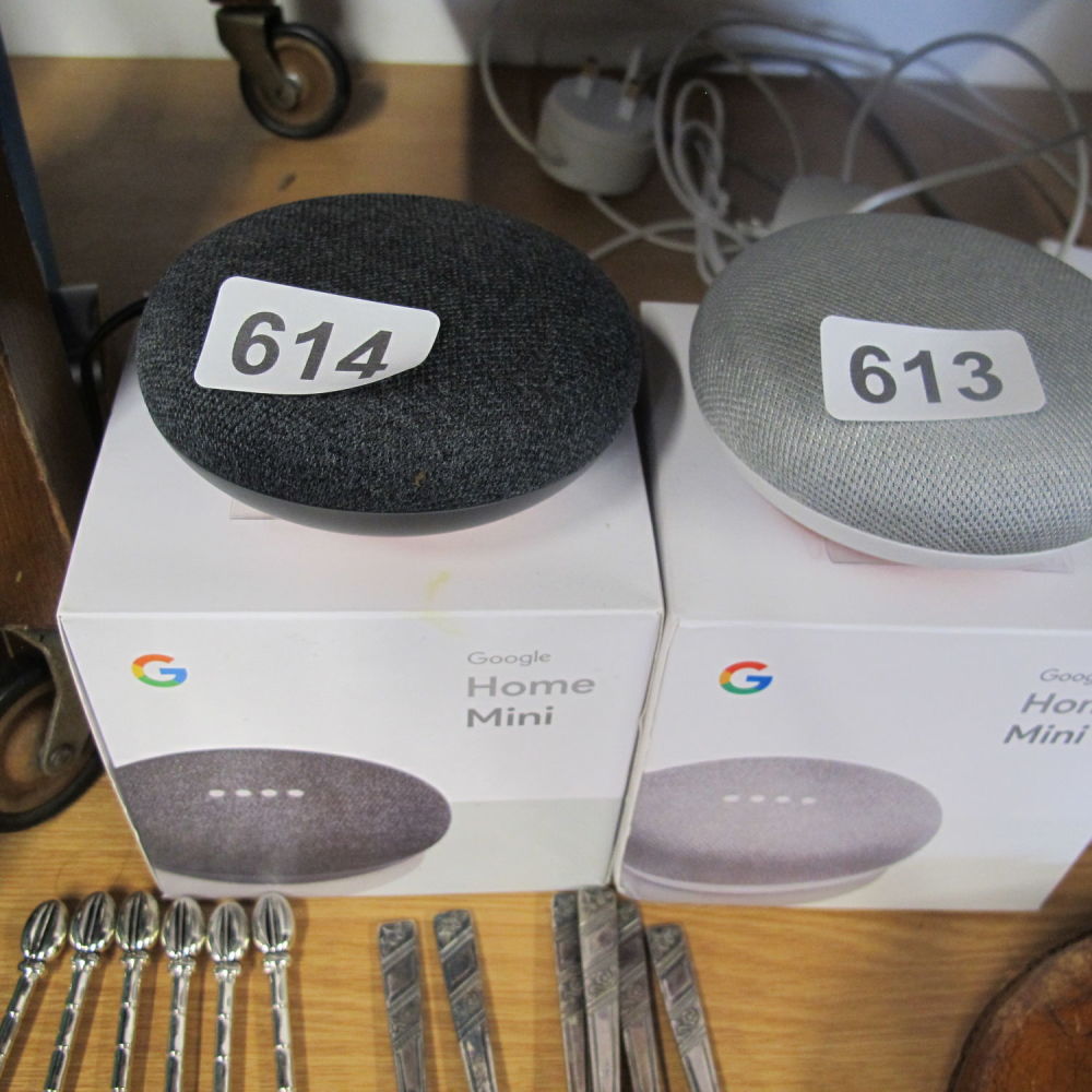 Lot 614: A Google home mini assistant