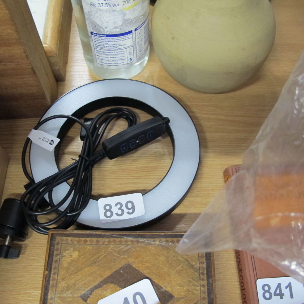 Lot 839: Only fans diffuser light 