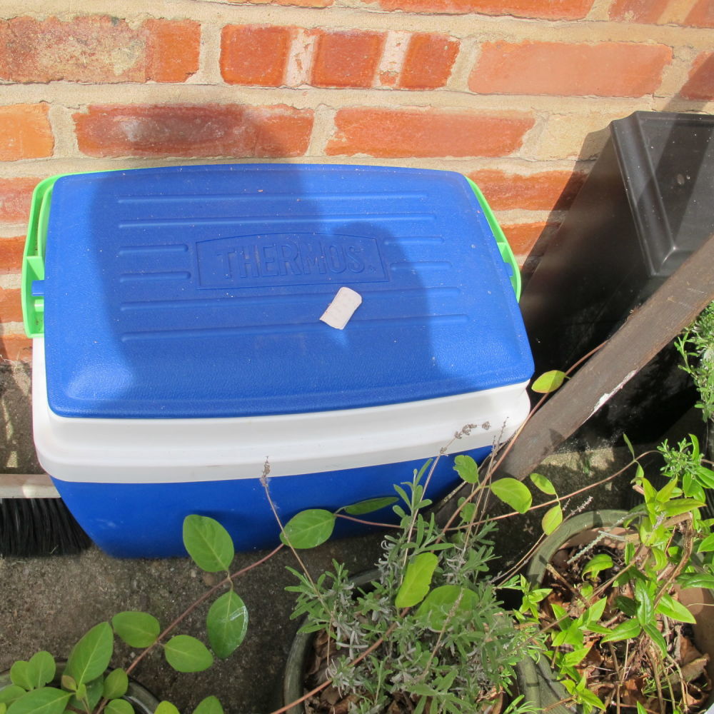 Lot 922: Cool box