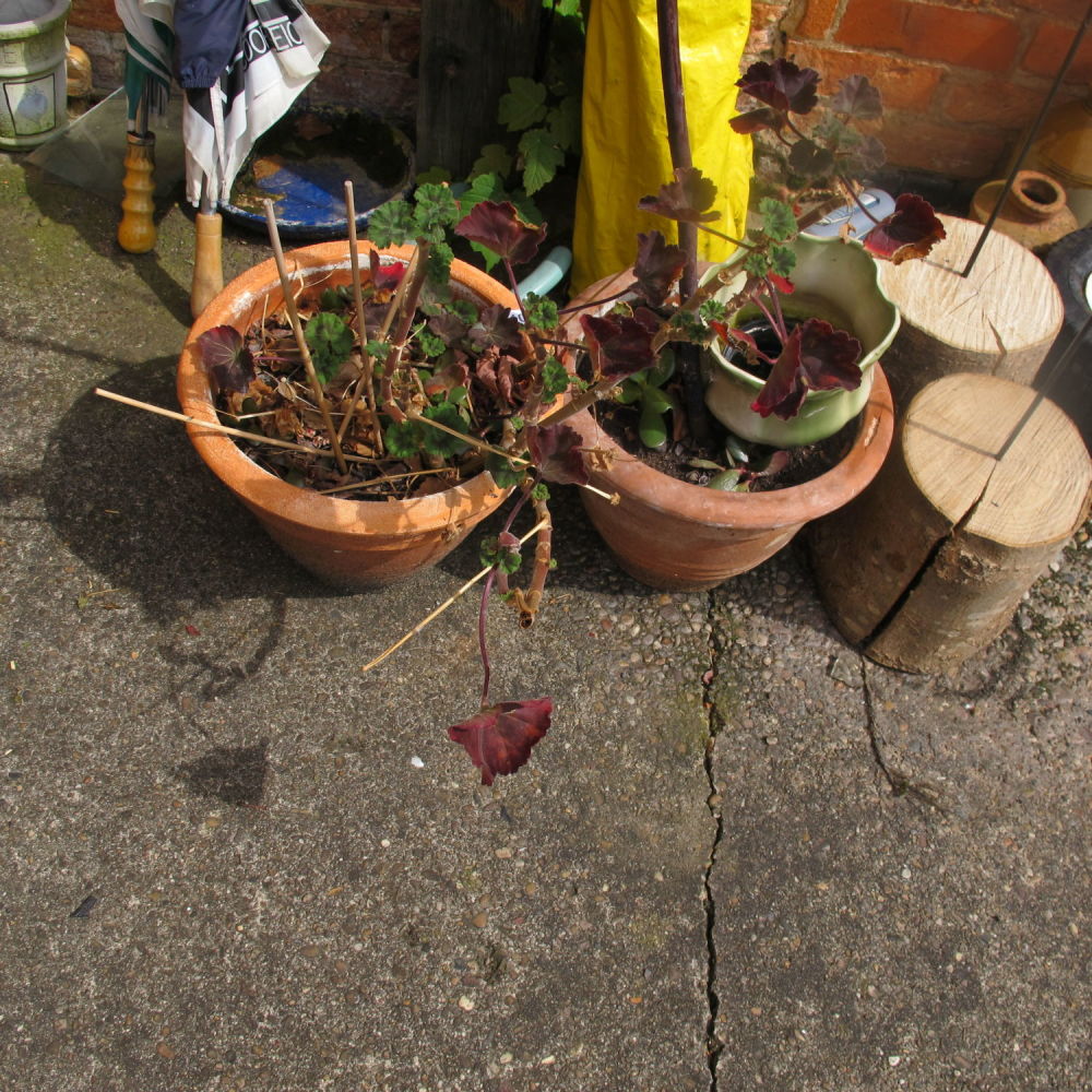 Lot 1000: Two terracotta planters 
