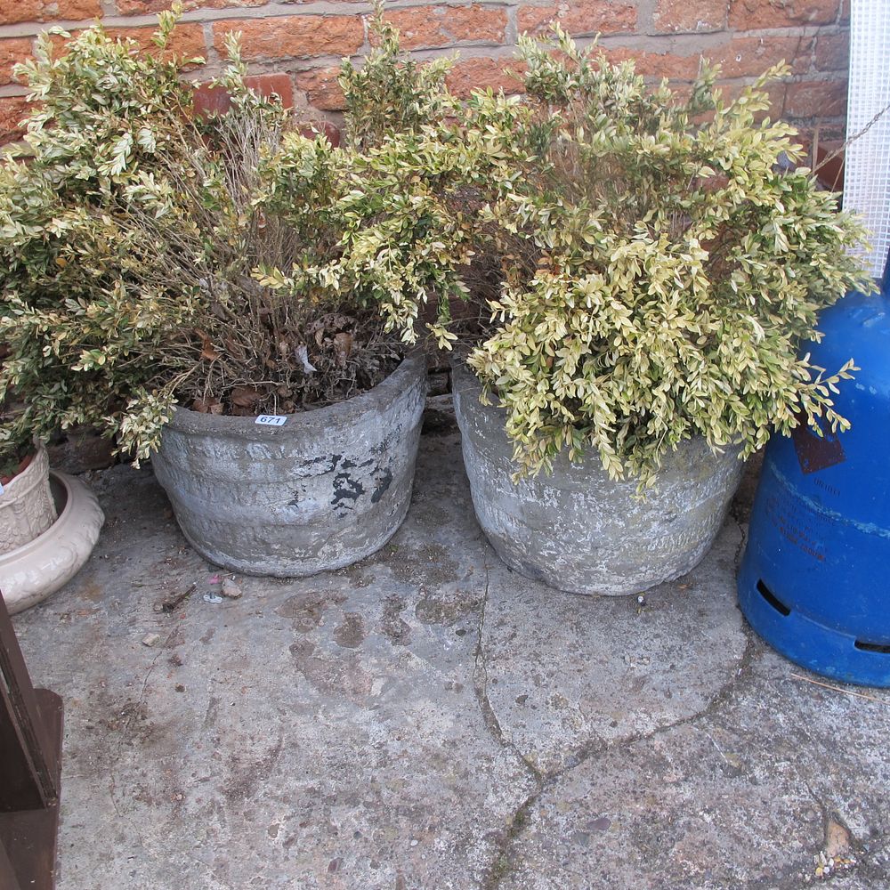 Lot 671: Pair of stone garden planters with Bay tree...