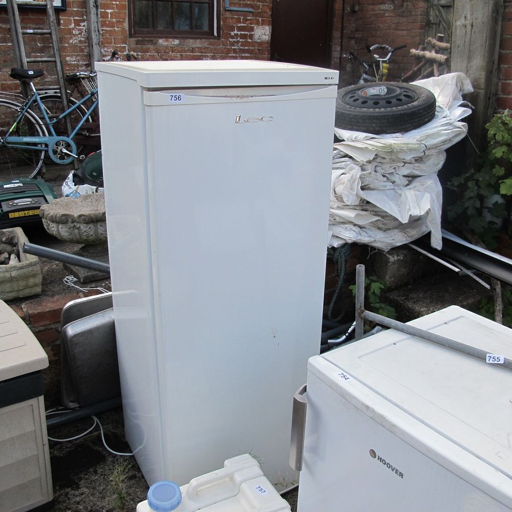 Lot 756: Tall fridge