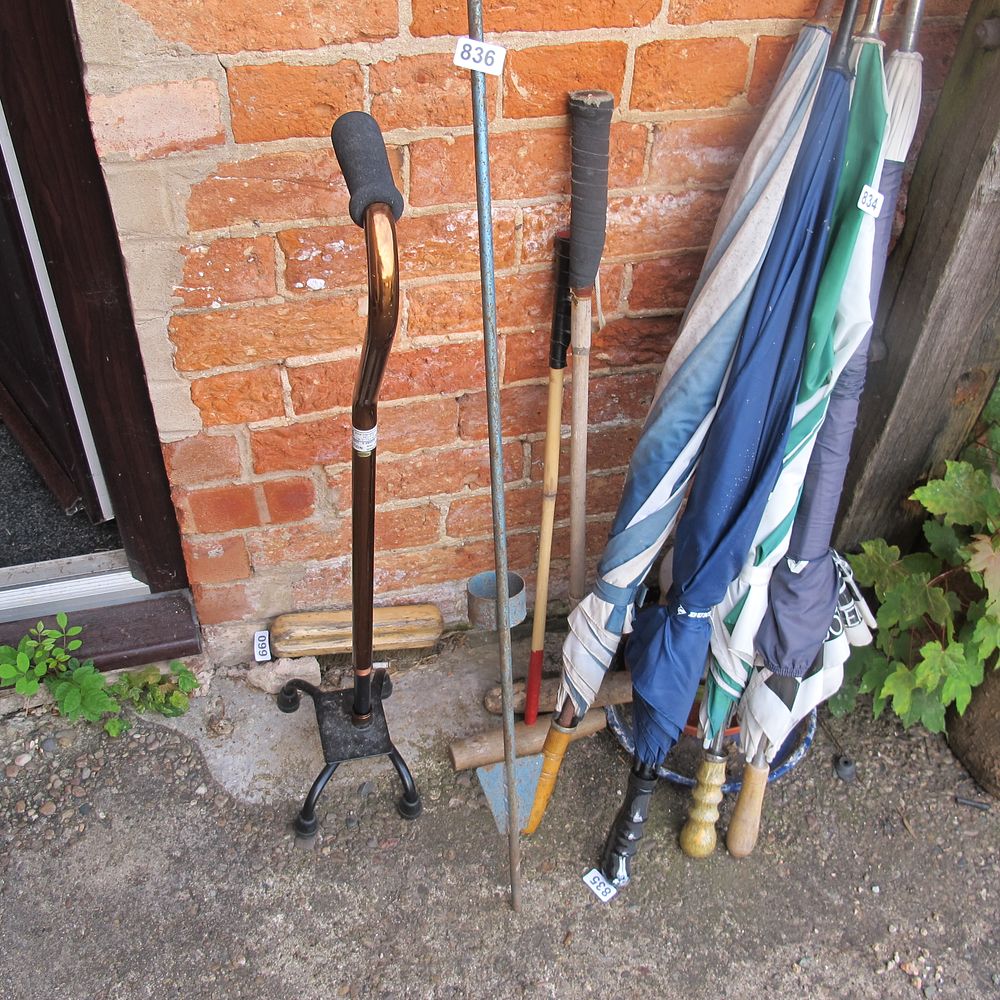 Lot 837: extra steady walking stick