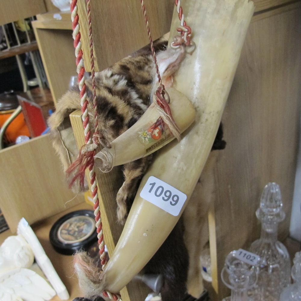 Lot 1099: Two horns, one from Switzerland