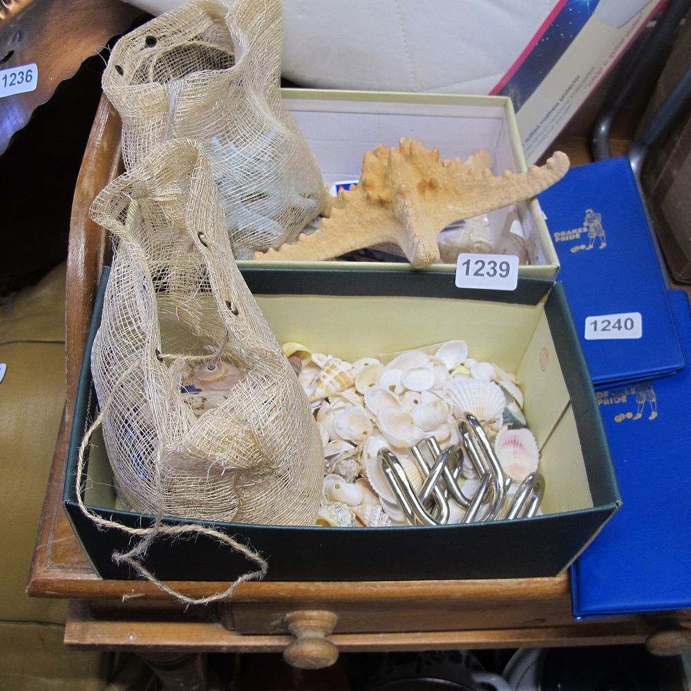 Lot 1239: Boxes of shells
