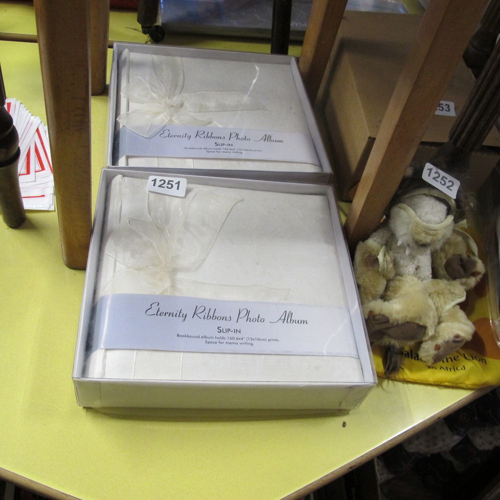 Lot 1251: 2 new photo albums