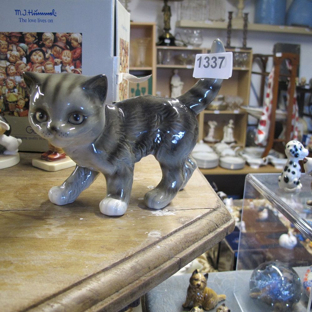 Lot 1337: Cat