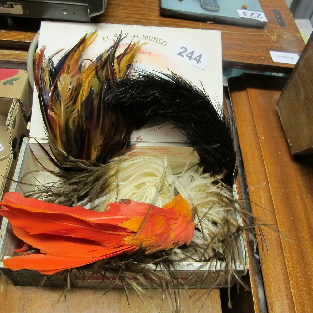 Lot 244: Assortment of beautiful vintage feathers in a cigar...