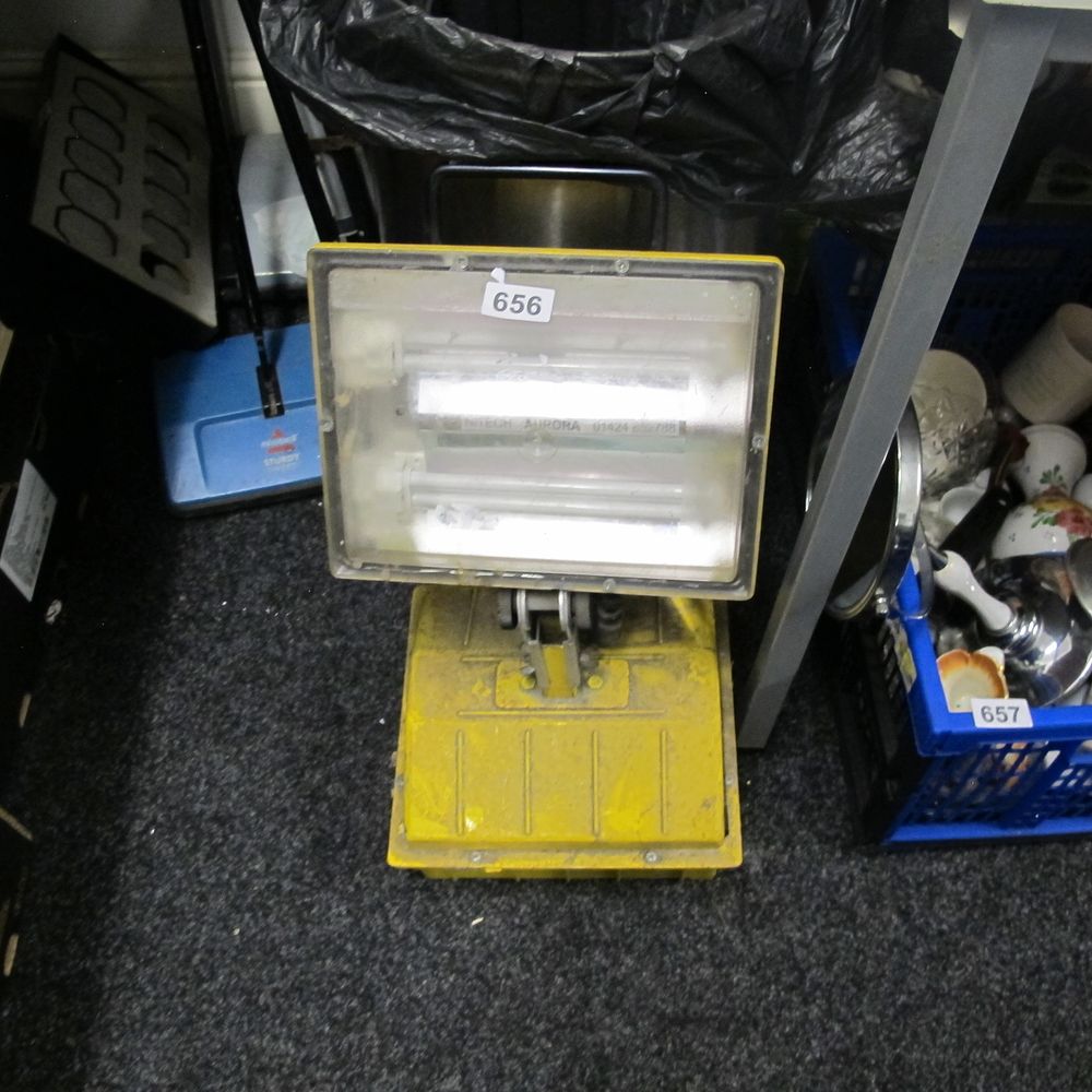Lot 656: Site light