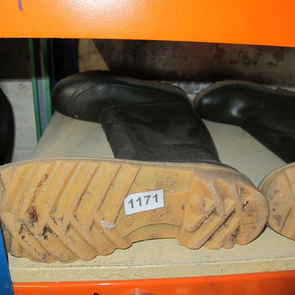 Lot 1171: Wellies size 10.5