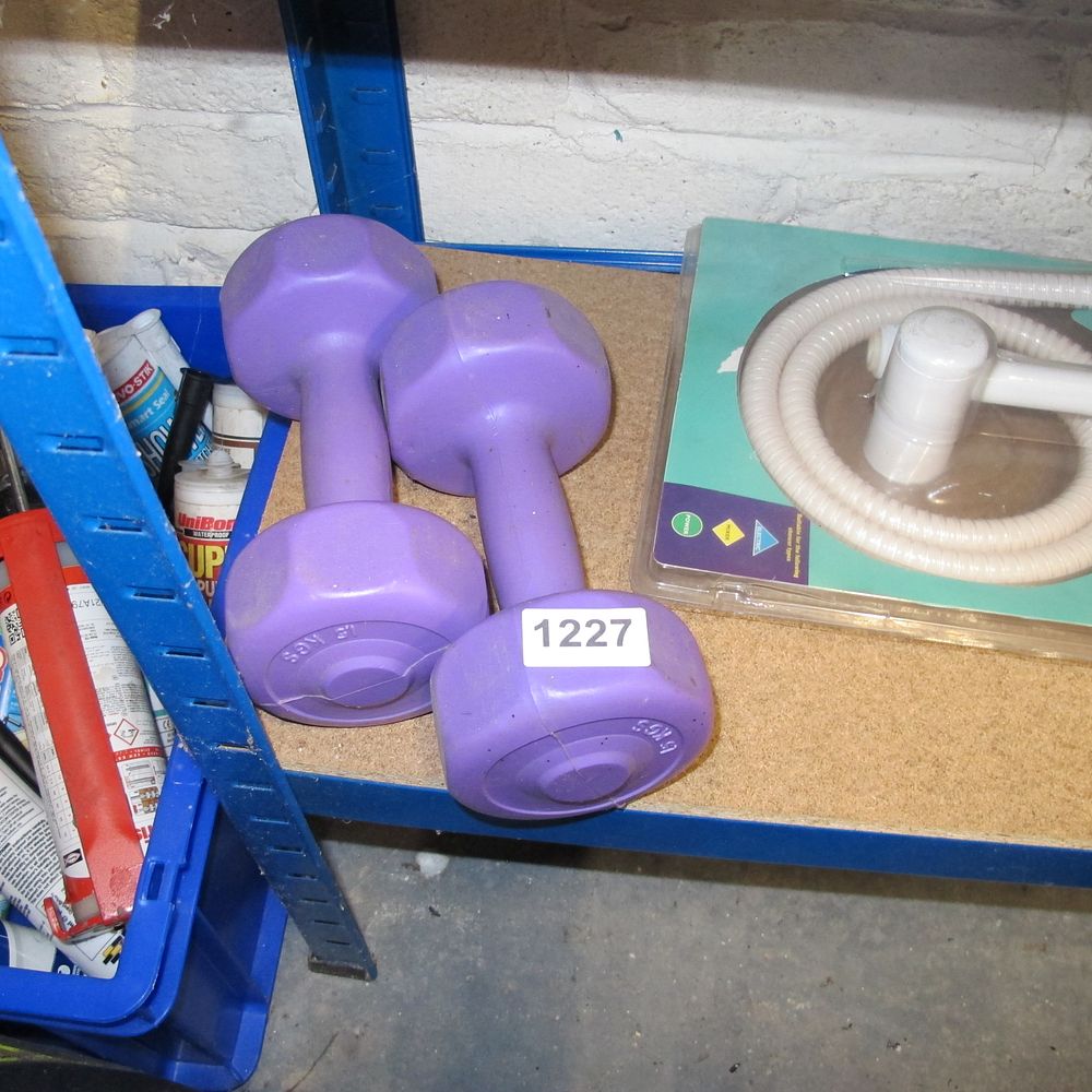 Lot 1227: dumb bells