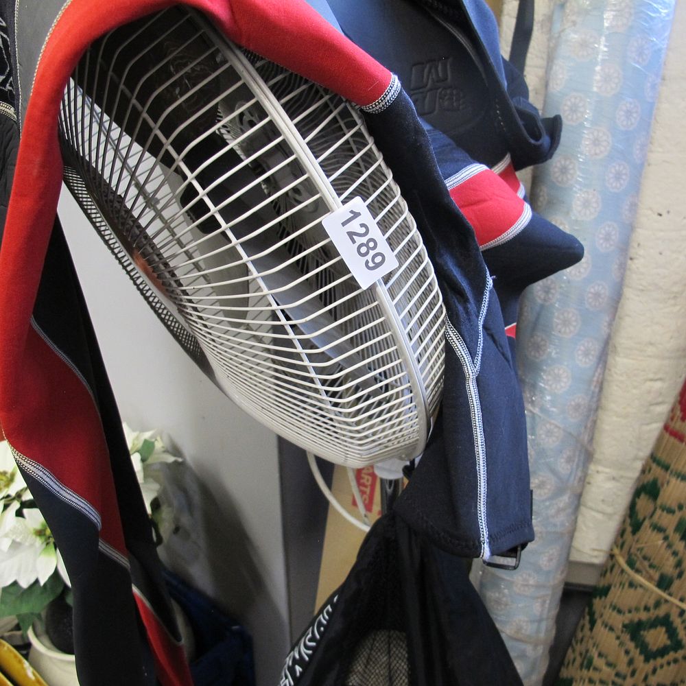 Lot 1289: fan