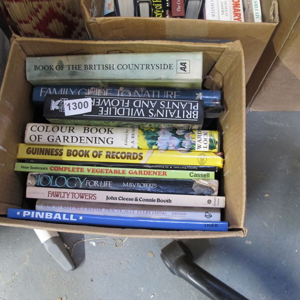 Lot 1300: box of books