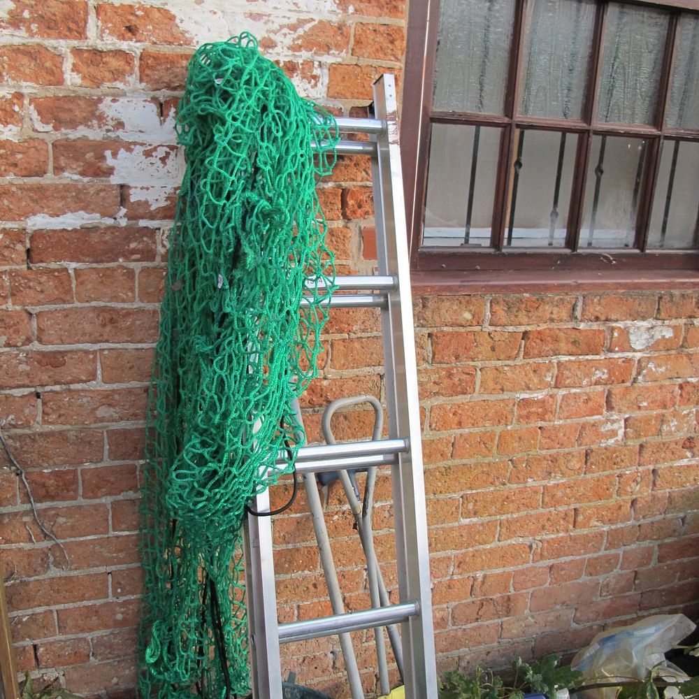 Lot 1364: ladder