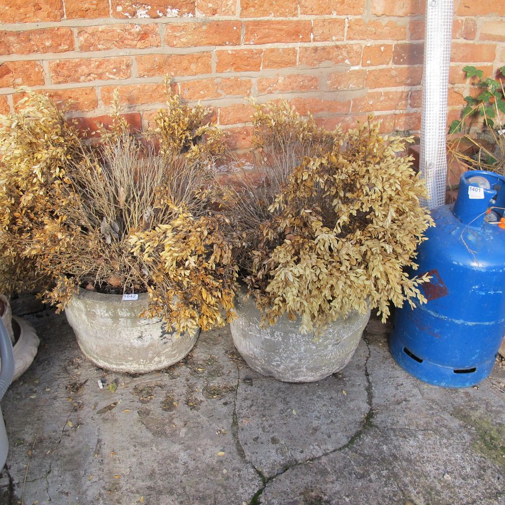 Lot 1402: 2 concrete planters