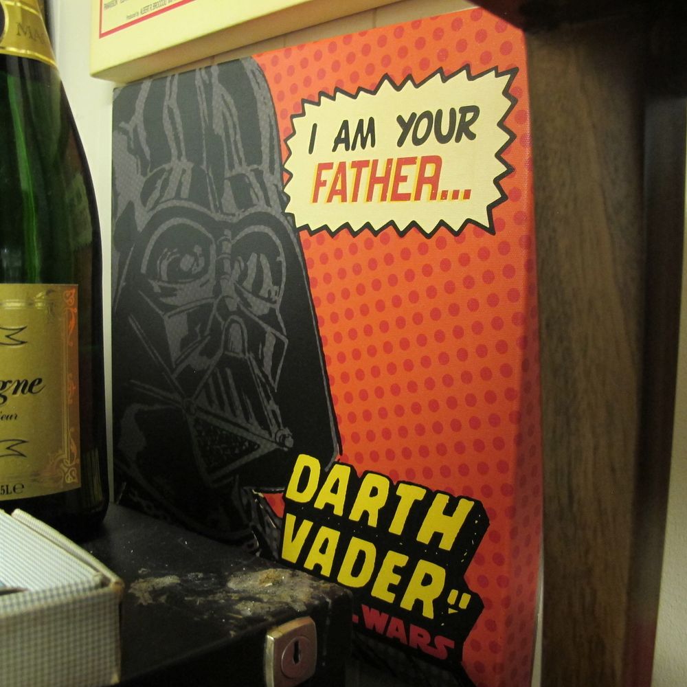 Lot 203: Darth Vader canvas