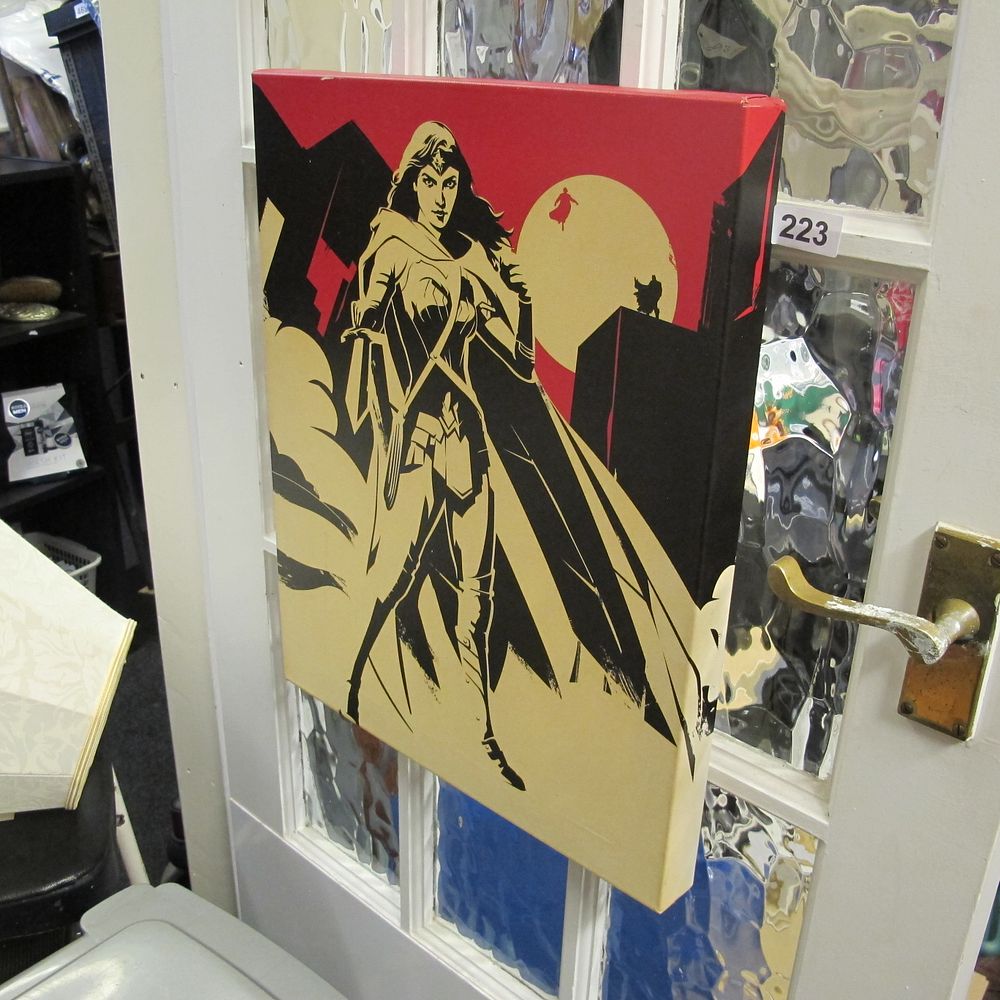 Lot 223: Wonderwoman canvas wall art