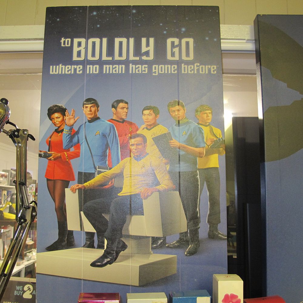 Lot 230: Star Trek wall art