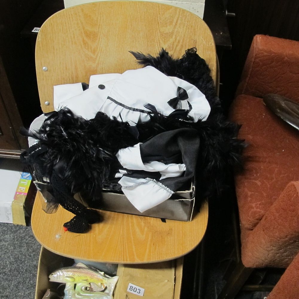 Lot 809: saucy box of cosplay - Waitress