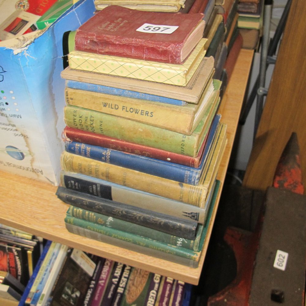Lot 597: qty of vintage books