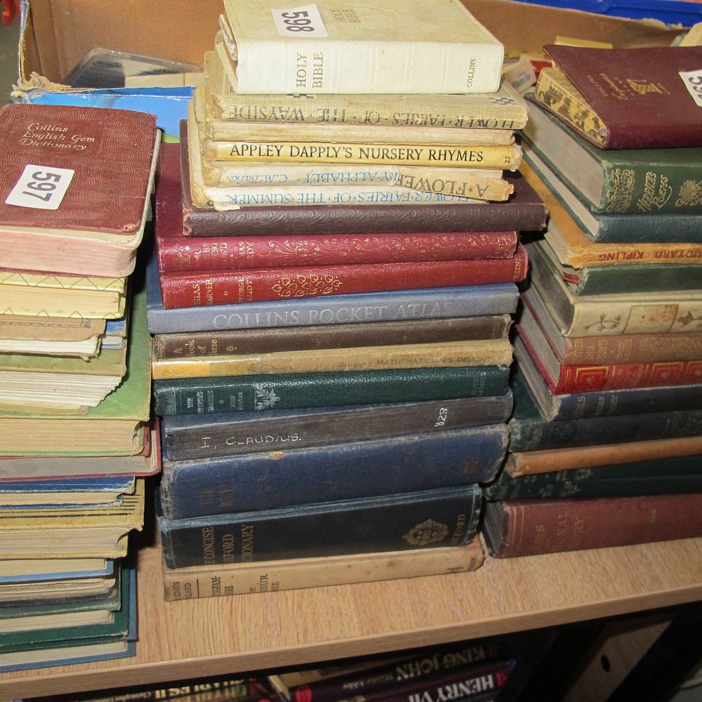 Lot 598: qty of vintage books