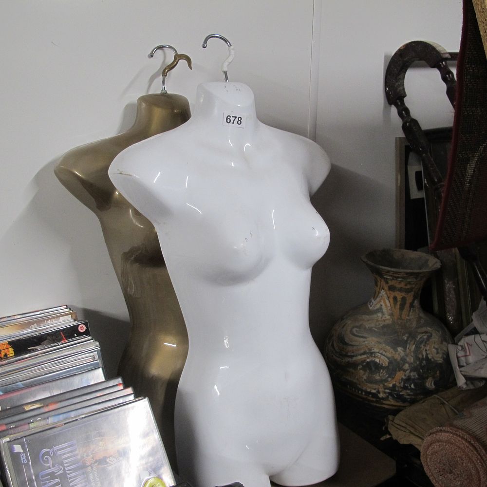 Lot 678: 2 ladies top display hangers