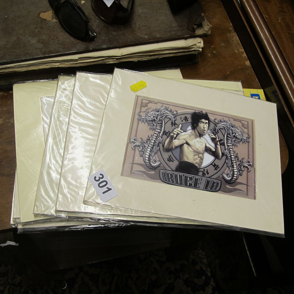 Lot 301: Mounted pictures