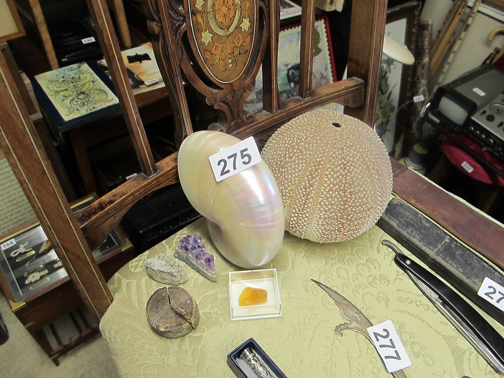 Lot 275: A Group of Natural History Specimens and Assorted...