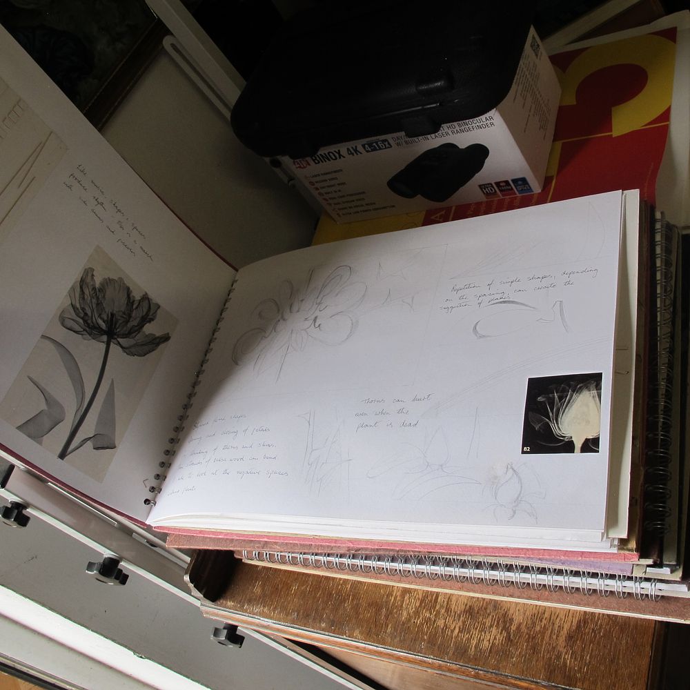 Lot 477: Contemporary Artist's Spiral-Bound Sketchbook with Botanical X-Ray Photograms...