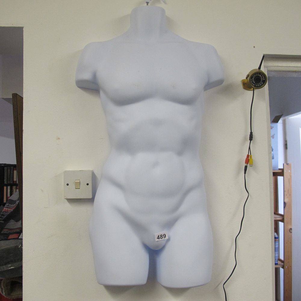 Lot 489: Modern White Molded Plastic Male Hanging Torso Display...