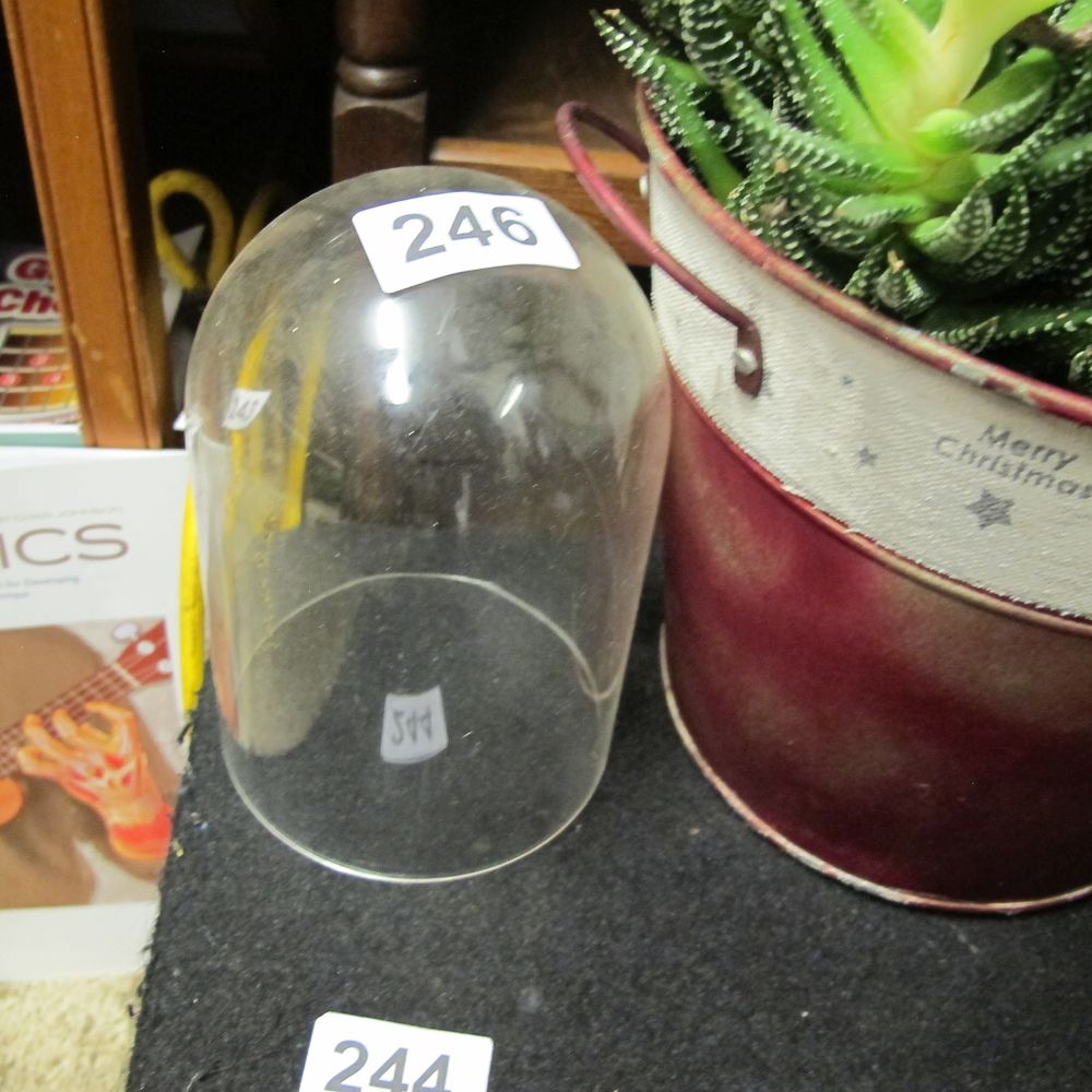 Lot 246: A Clear plastic Display Dome
