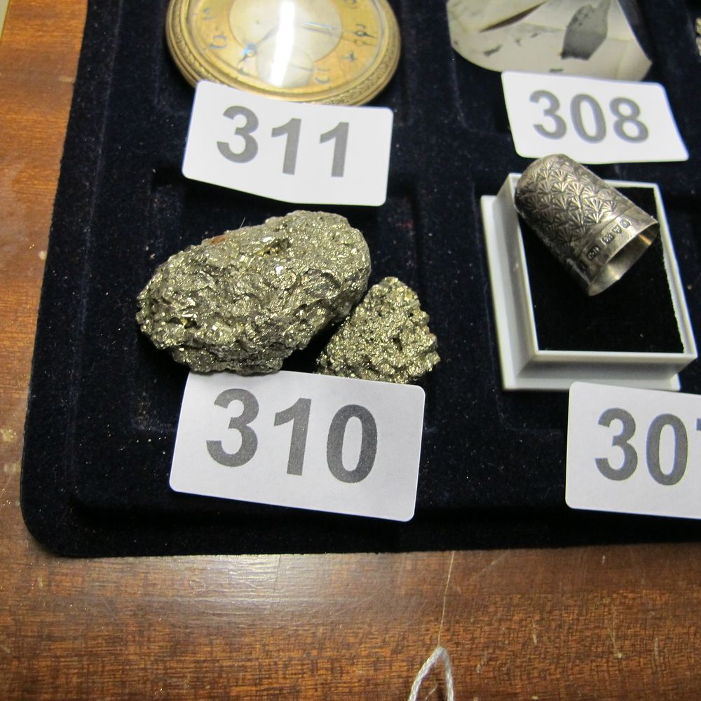 Lot 310: en