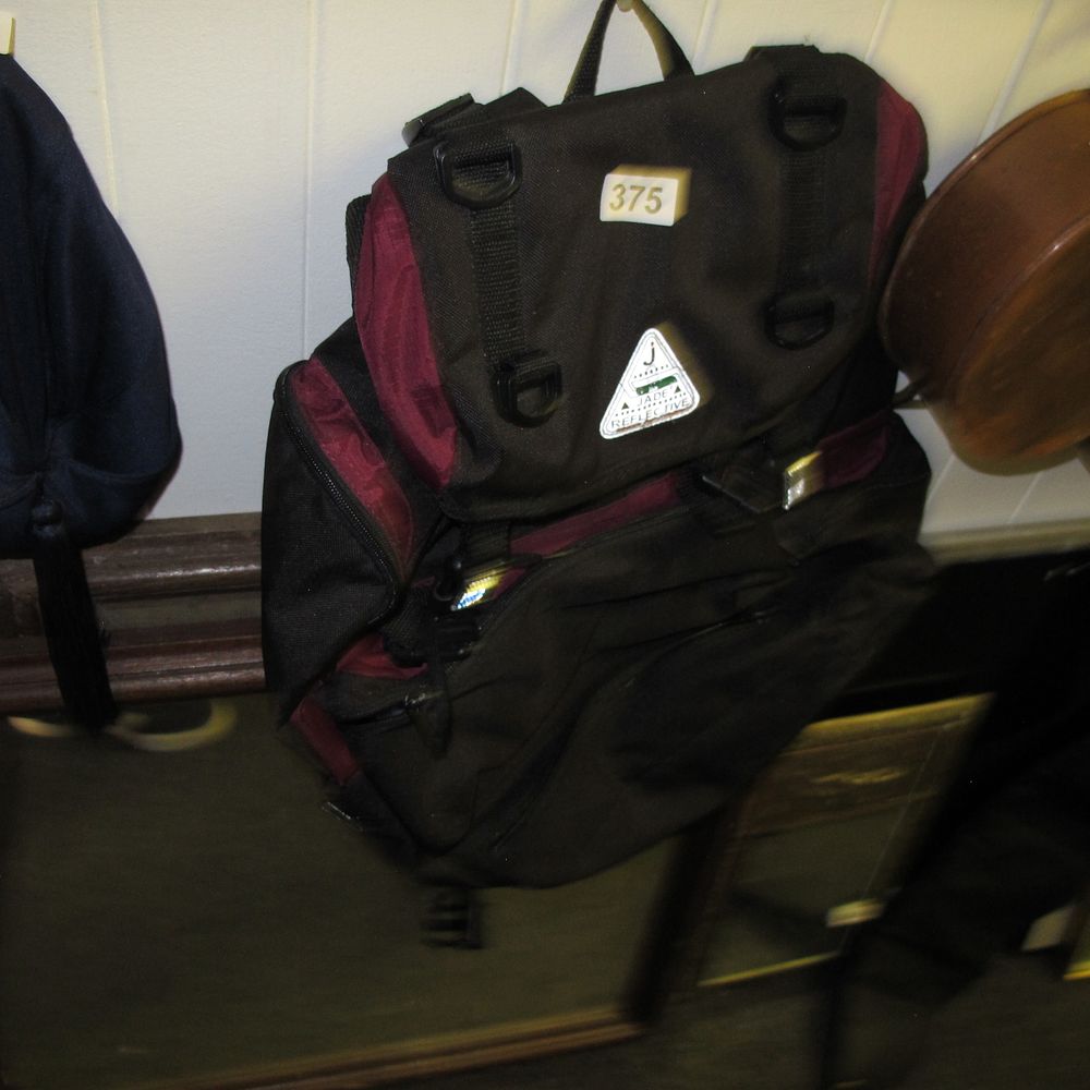 Lot 375: Coleman Peak 1 Hiking Backpack