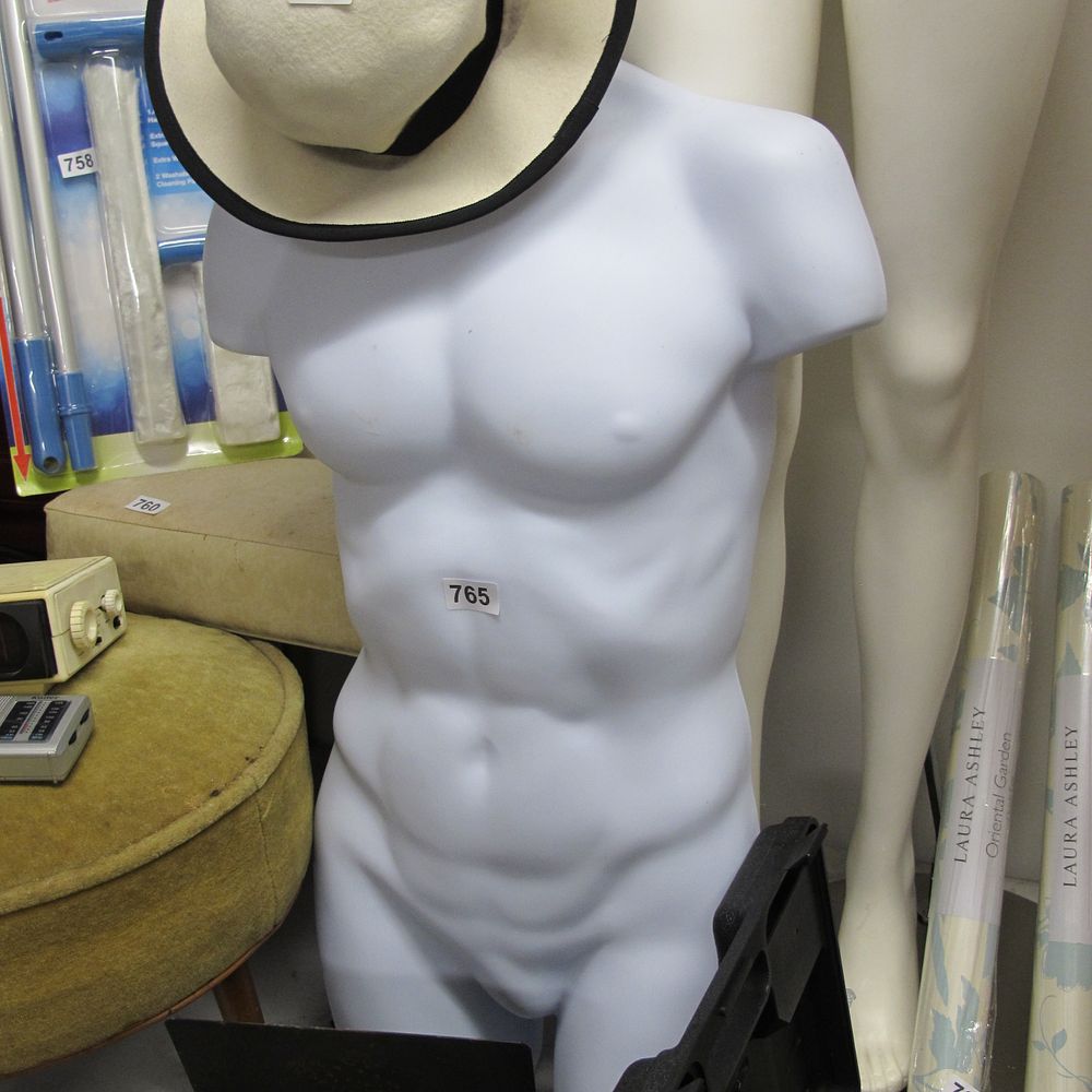 Lot 765: White Plastic Male Torso Mannequin