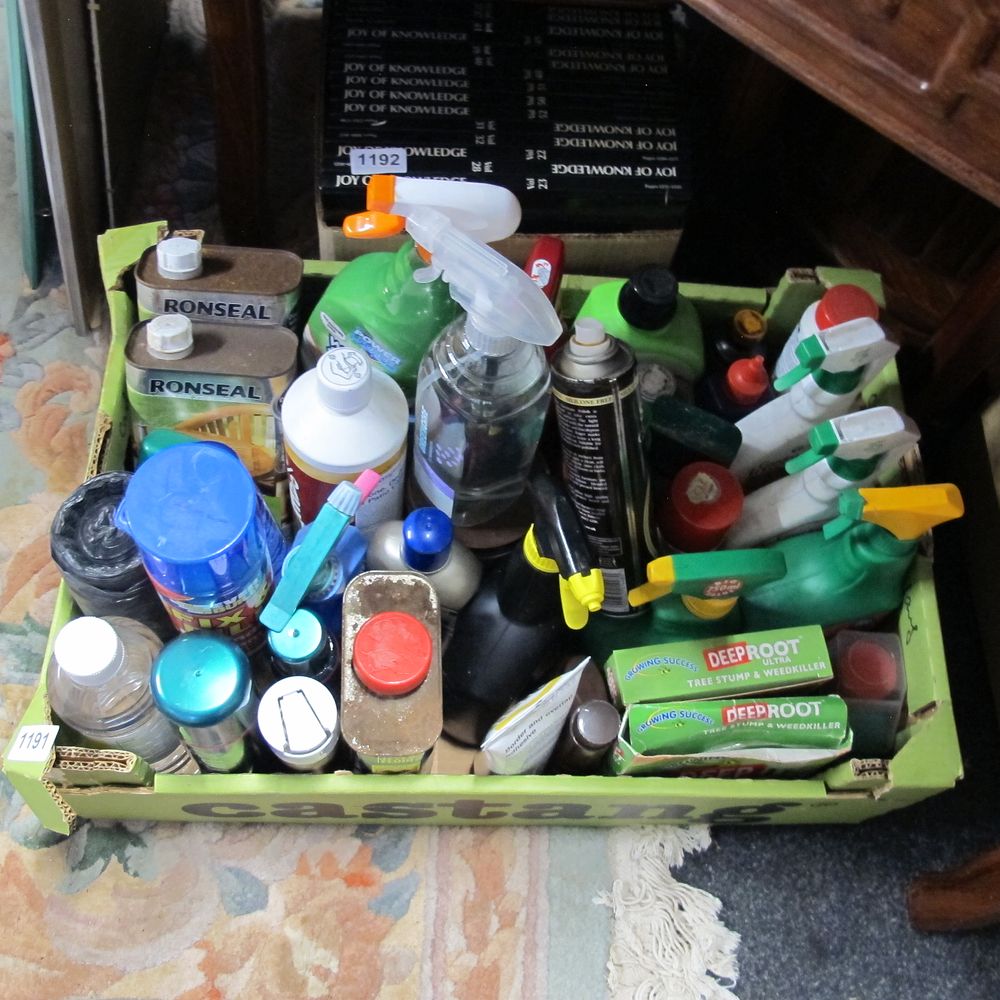 Lot 1191: A Box of Assorted Household and Garden Maintenance...