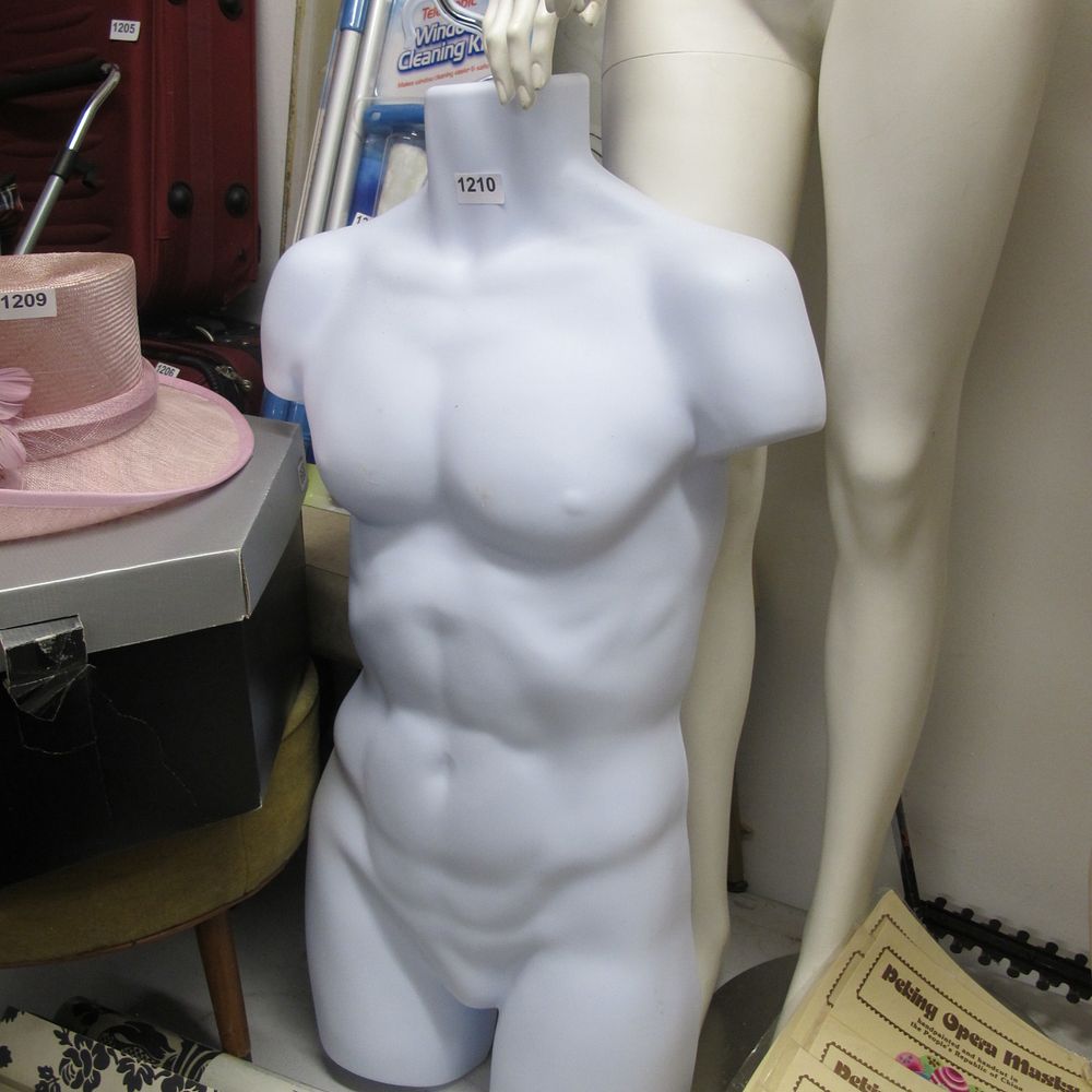 Lot 1210: Unbranded Fashion Display Lot Featuring Male Torso Form
