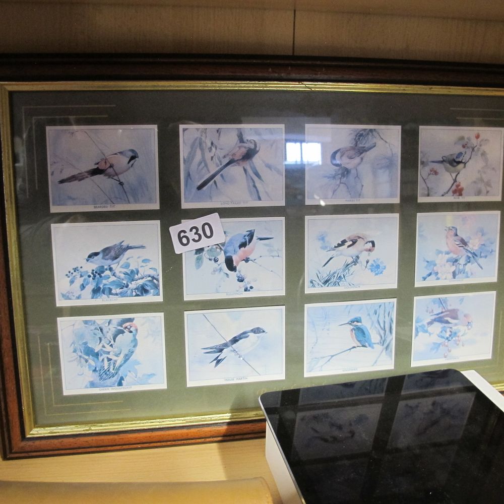 Lot 630: A Framed Collection of Imperial Publishing Birds of...